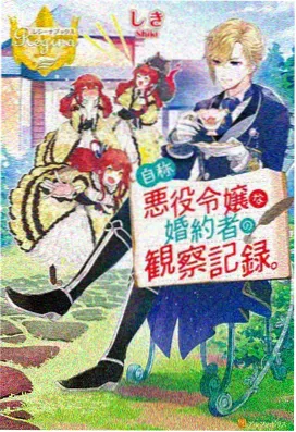 航海王和之国篇海报